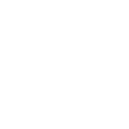 ce logo McAllen